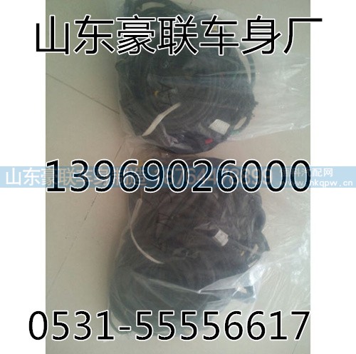,重汽天然气发动机线束,山东豪联车身制造厂