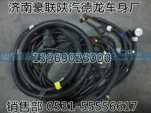 DZ93189774691,发动机、变速器底盘电线束,山东豪联车身制造厂