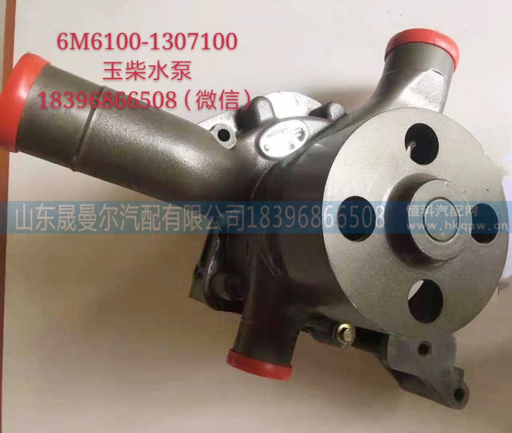 6M6100-1307100玉柴水泵