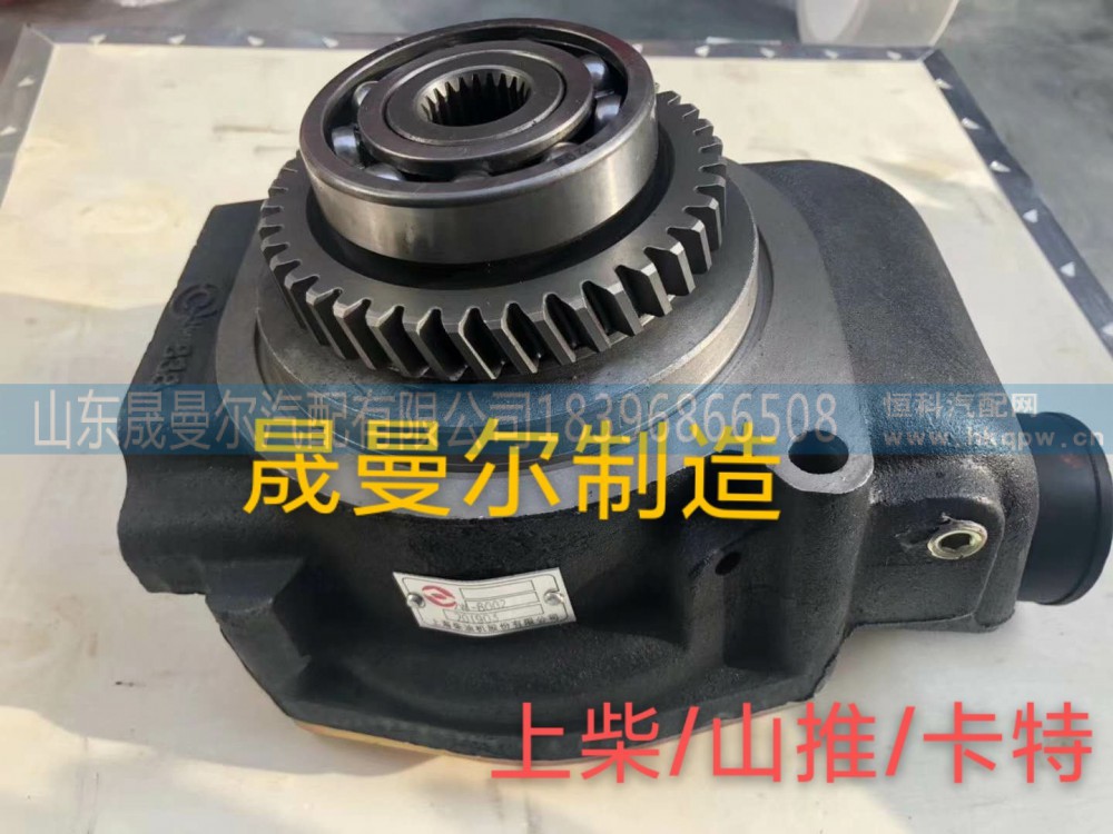 C20AB-2W8002上柴6121卡特水泵