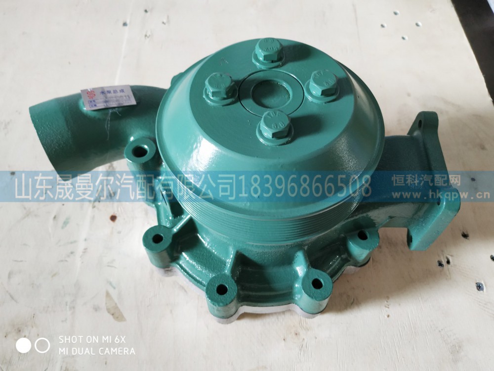 1307010A81D锡柴81D水泵总成
