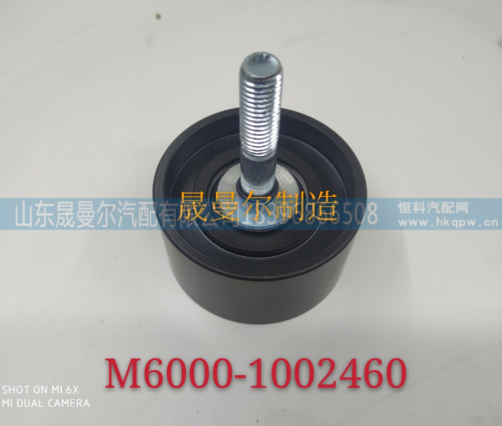 M6000-1002460玉柴平惰轮