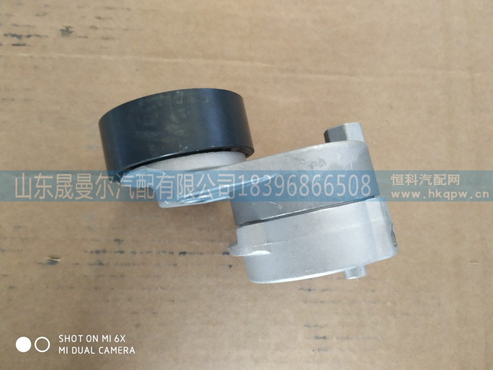 VG1246060001涨紧轮