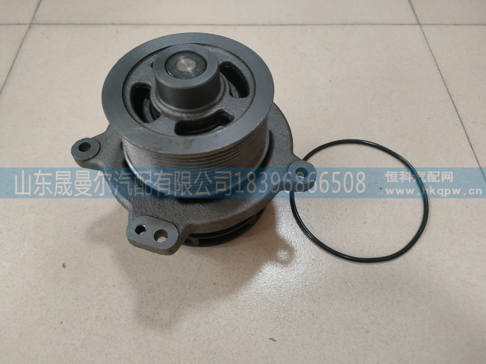 500356553R上汽依维柯水泵