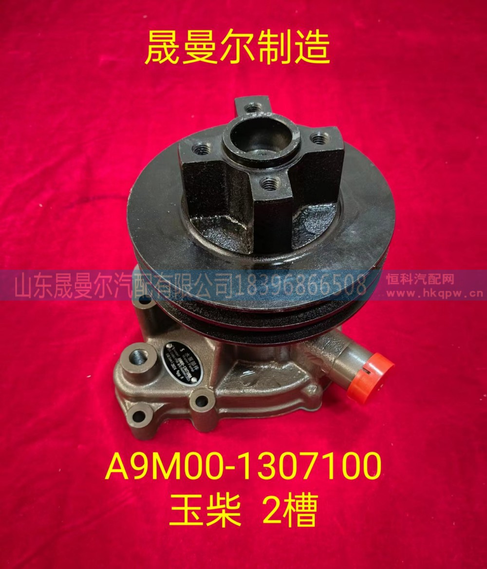 A9M00-1307100适用于玉柴系列发动机水泵总成 2槽
