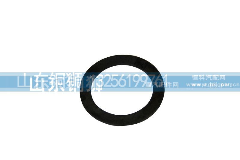 99012340077A,輪邊墊圈,山東銅獅汽車零部件有限公司