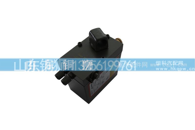 WG971010DA,手动液压泵,山东铜狮汽车零部件有限公司