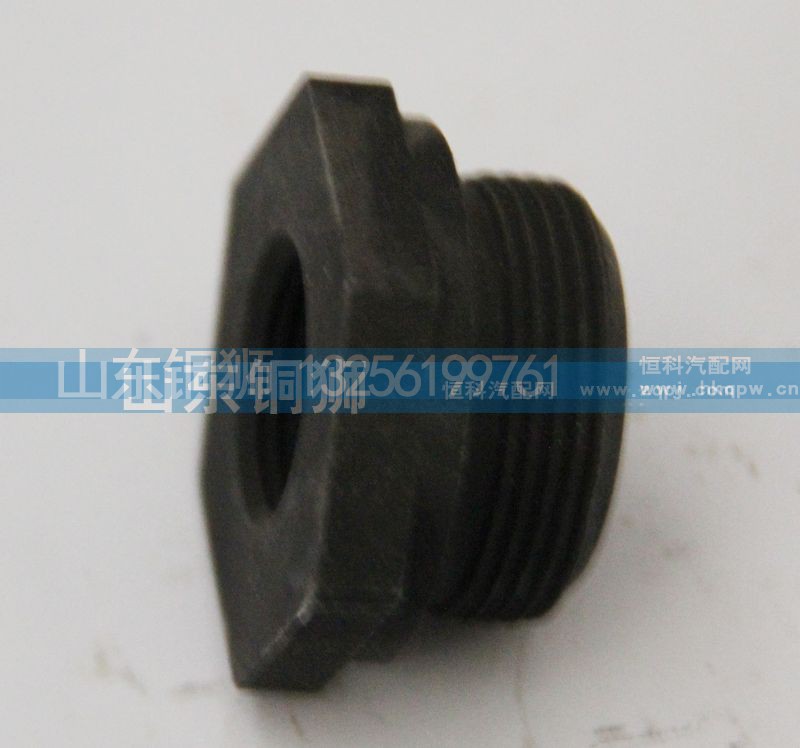 61460070011,,山东铜狮汽车零部件有限公司