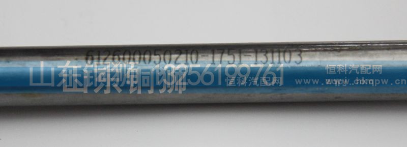 612600050210,,山東銅獅汽車零部件有限公司