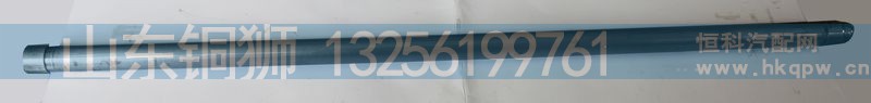 612630050021/1,,山東銅獅汽車零部件有限公司