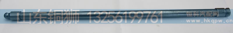 VG1096050035,,山东铜狮汽车零部件有限公司