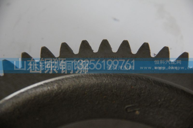 JS150T-17011118,齒輪,山東銅獅汽車零部件有限公司