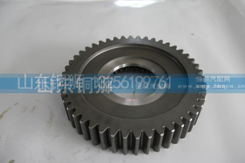 12JSD160T-1707106,减速齿轮,山东铜狮汽车零部件有限公司
