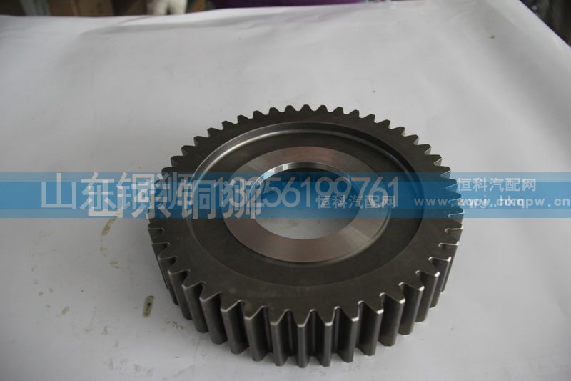 12JSD200T-1707106-3,减速齿轮,山东铜狮汽车零部件有限公司