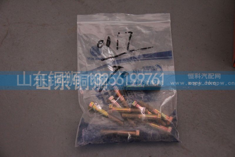 90011350017,六角头螺栓,山东铜狮汽车零部件有限公司