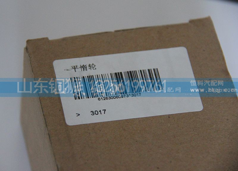 612630060973,平惰輪,山東銅獅汽車(chē)零部件有限公司