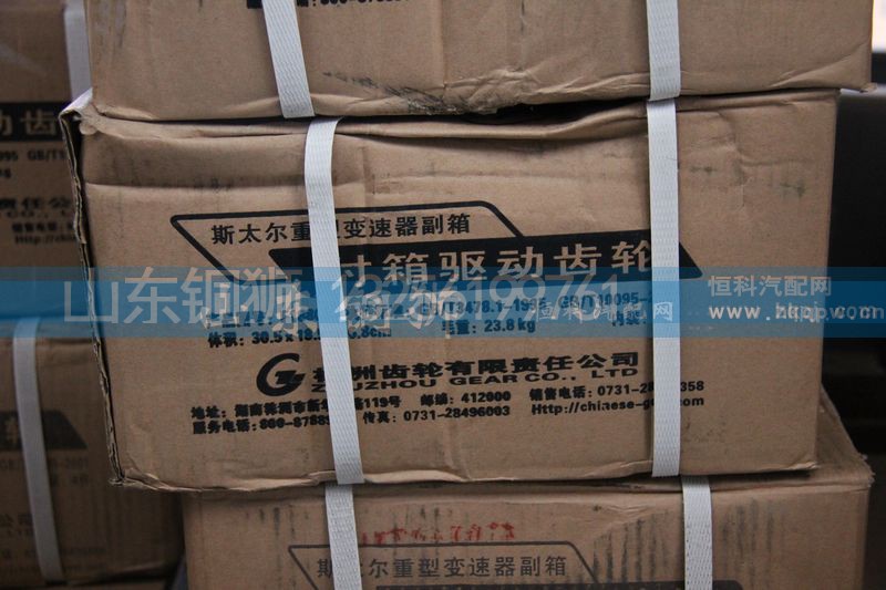 F18869,株齿 付箱驱动齿轮,山东铜狮汽车零部件有限公司