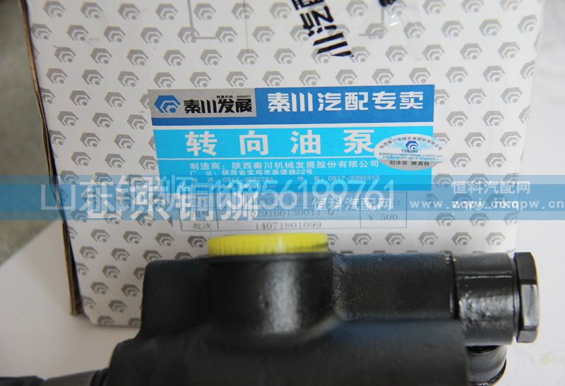 DZ9100130011Q,秦川转向油泵,山东铜狮汽车零部件有限公司