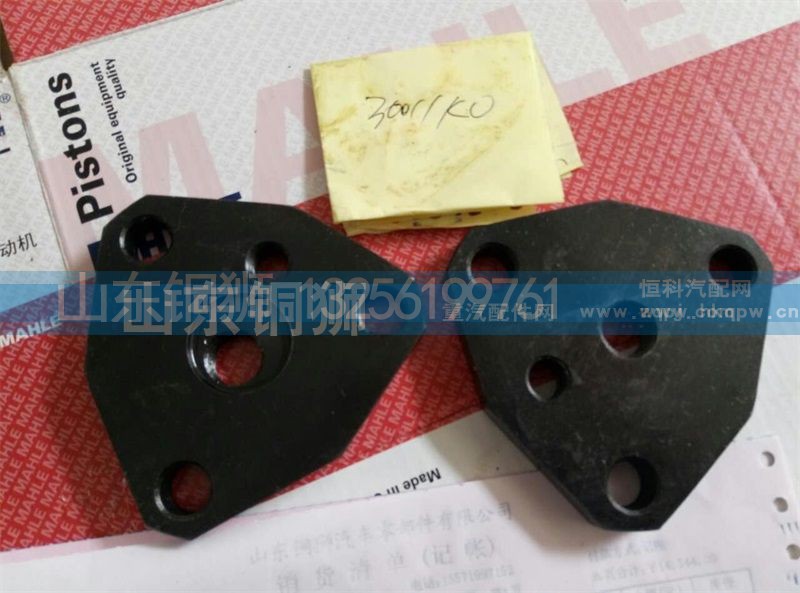 30011KO,,山东铜狮汽车零部件有限公司