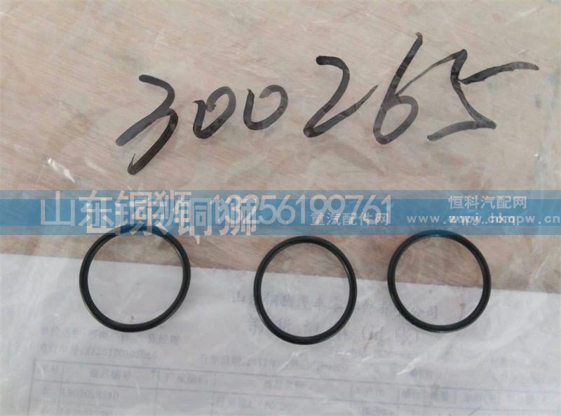 300265,,山东铜狮汽车零部件有限公司