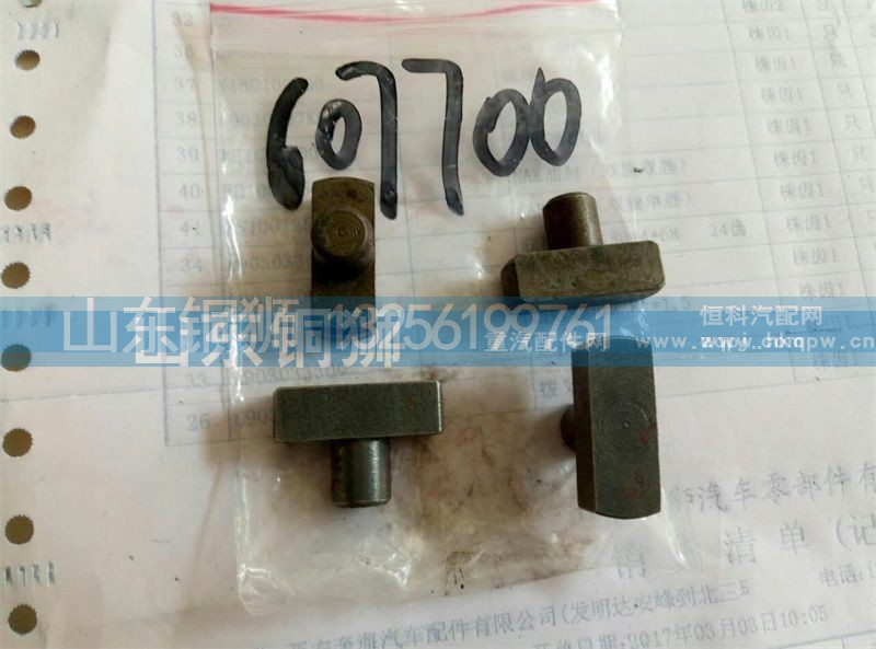 607700,,山东铜狮汽车零部件有限公司
