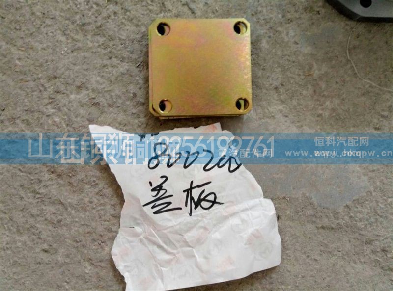 800200,蓋板,山東銅獅汽車零部件有限公司