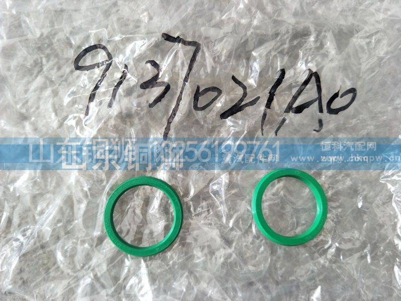 9137021AO,,山东铜狮汽车零部件有限公司