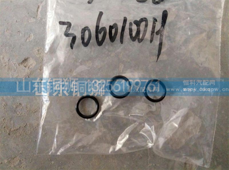 306010019,,山东铜狮汽车零部件有限公司