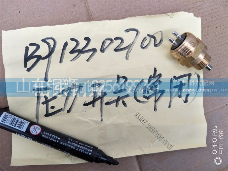 B913302700,压力开关(常用),山东铜狮汽车零部件有限公司