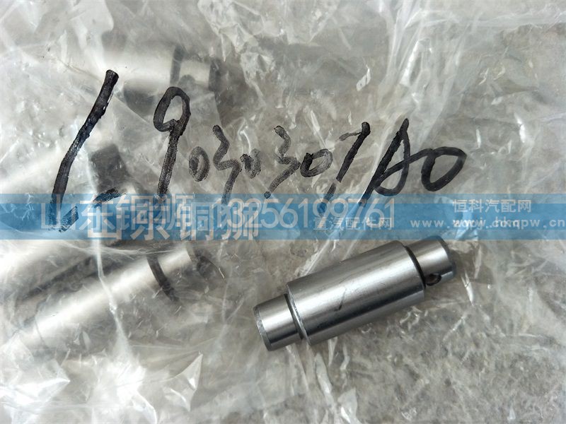 L9030301AO,,山东铜狮汽车零部件有限公司
