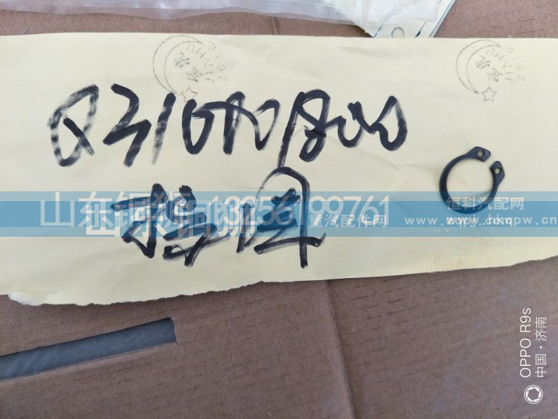 Q310001800,擋圈,山東銅獅汽車零部件有限公司