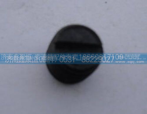 RT11509C-5202,变速箱倒车轴套头螺丝,济南鑫聚恒汽车配件有限公司