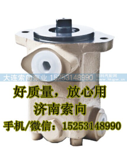 3406N-001,助力泵/叶片泵/齿轮泵,济南索向汽车配件有限公司