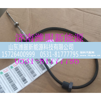 山东潍服新能源科技有限公司