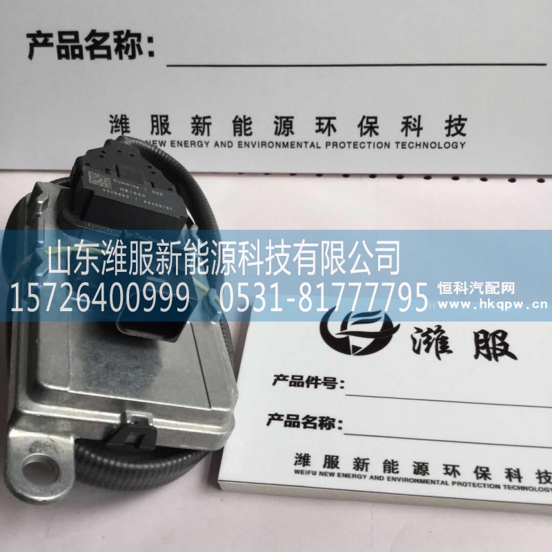 山东潍服新能源科技有限公司