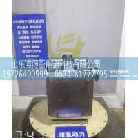 1013271139   三元催化转化器