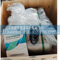 1002232360        SCR催化消声器