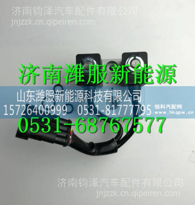 WG1034120181+002国四尿素泵电磁阀 WG1034120181+002