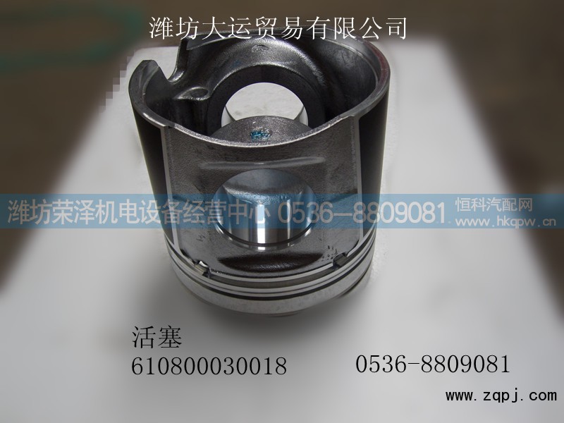 610800030018,活塞,潍坊荣泽机电设备经营中心