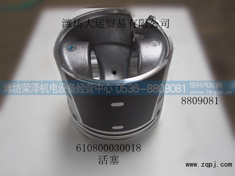 610800030018,活塞,潍坊荣泽机电设备经营中心
