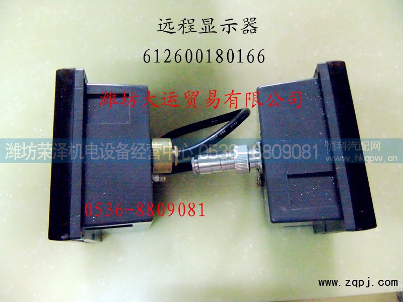 612600180166,远程显示器,潍坊荣泽机电设备经营中心