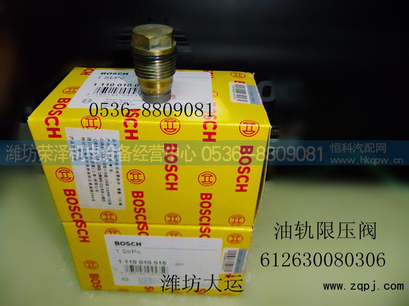 612630080306,油轨限压阀,潍坊荣泽机电设备经营中心