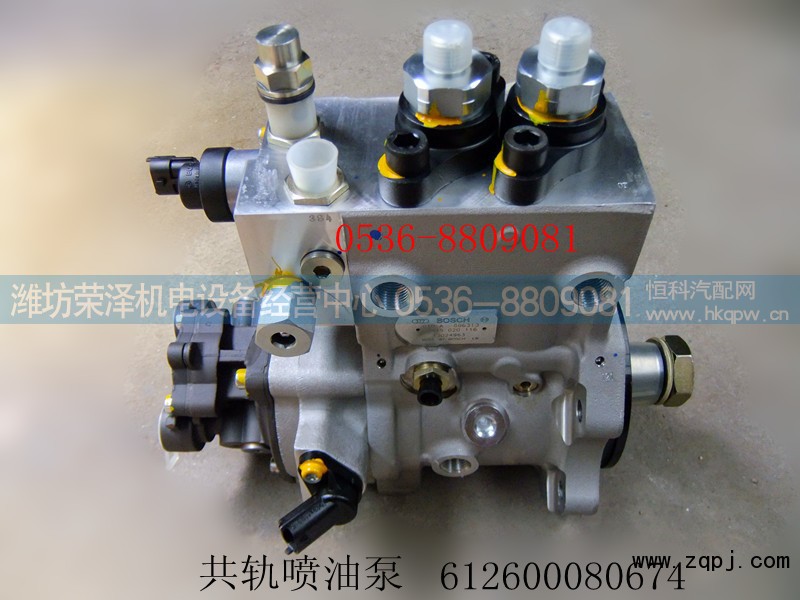 612600080674,共轨喷油泵,潍坊荣泽机电设备经营中心
