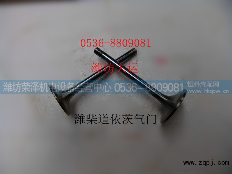 12159606/12159608,进排气门,潍坊荣泽机电设备经营中心