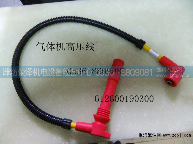 612600190300,高压线总成,潍坊荣泽机电设备经营中心