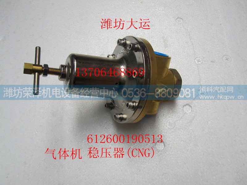 612600190513,气体机 稳压器（CNG）,潍坊荣泽机电设备经营中心