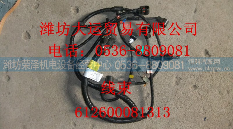 612600081313,线束,潍坊荣泽机电设备经营中心