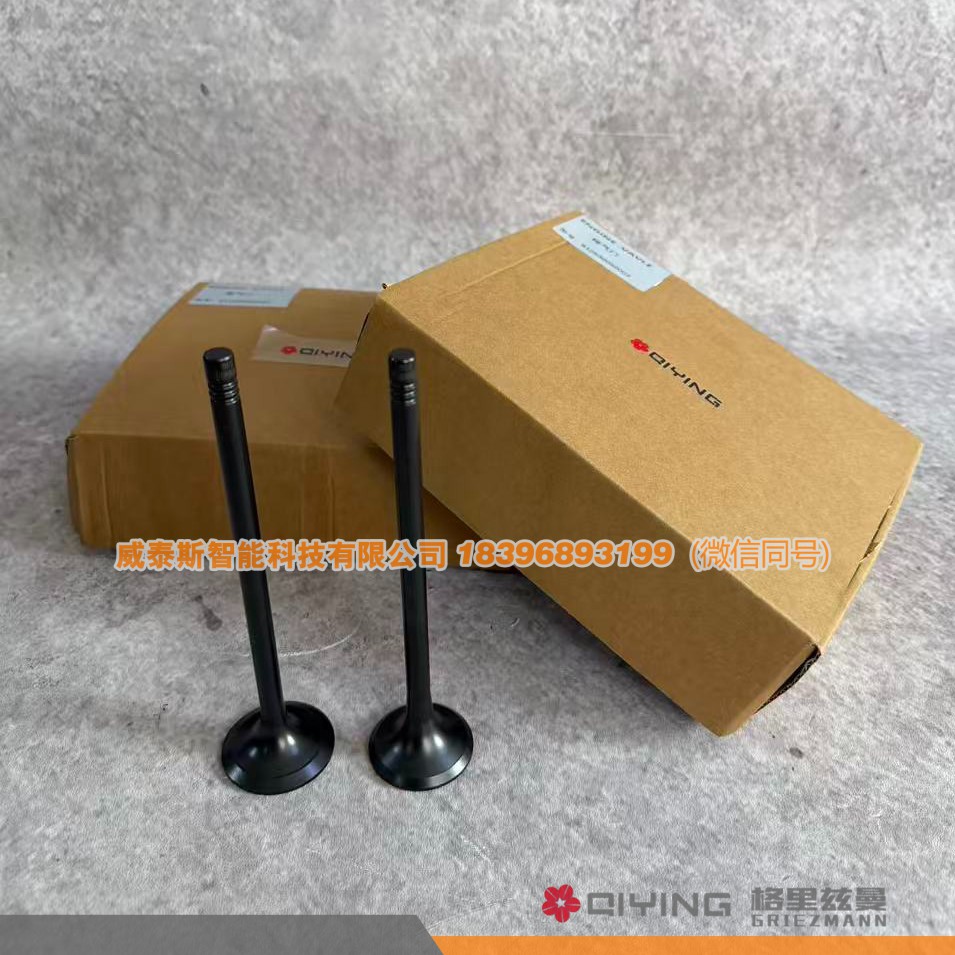 气门   车型  P12   612630050002  612630050001  威泰斯智能科技