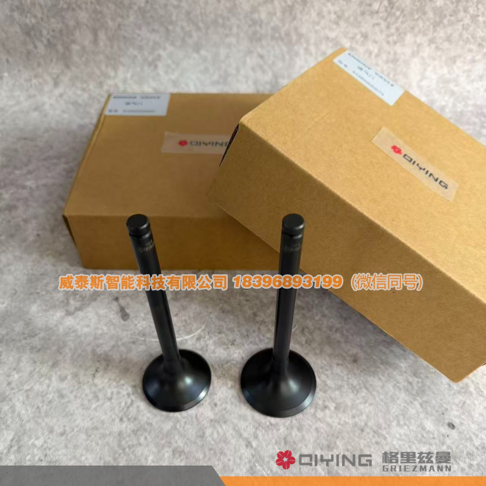 气门  车型 615   612600050025  612600050073品牌 启赢  威泰斯智能科技