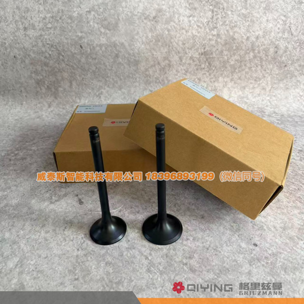 气门  车型 615   612600050025  612600050073品牌 启赢  威泰斯智能科技